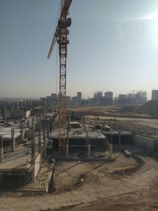 پروژه شمشاد تعاونی جنگلبانی و مراتع