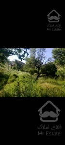 29هزارمترزمین وباغ