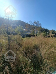 ۲۳۰ متر زمین فروش فوری پول نیاز