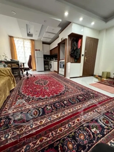 خوش نقشه/غرق نور