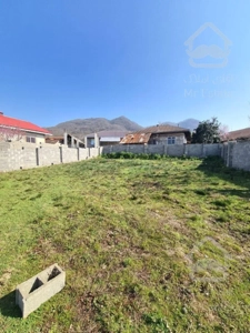 زمین روستایی ویو دار