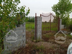 زمین نزدیک به جنگل