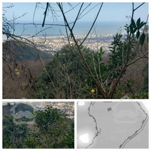 فروش زمین با چشم انداز ابدی