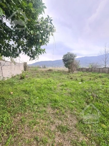 زمین روستایی خوش نقشه