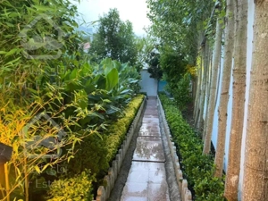 فروش ویلایی اکازیون ۶۸۸متری نیاوران