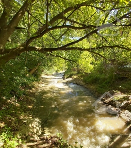 باغچه ویلایی در باغ آلو مراء دماوند مشرف به رودخانه