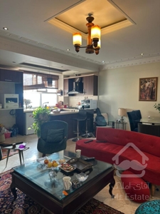 65متر/خوش نقشه/لاکچری