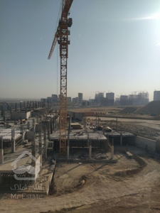 پروژه شمشاد جنگلبانی ایرانمال دریاچه چیتگر