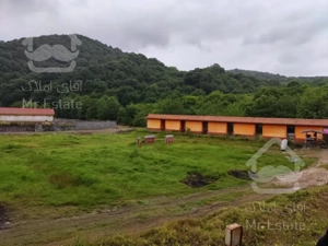 زمین منطقه توریستی بلیران آمل، ویو جنگل و رودخانه