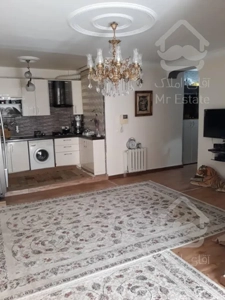 خطی روبه کوچه/سالن پرده خور