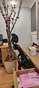 ولنجک رهن آپارتمان