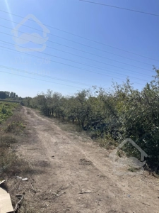 فروش باغ - سهیلیه - سنقرآباد