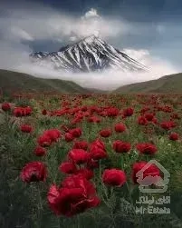 فروش 200 متر زمین مسکونی در شهرک جیلارد نو دماوند