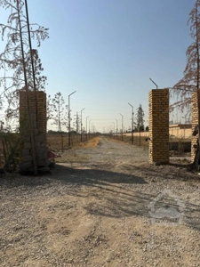 زمین جهت سرمایه‌گذاری