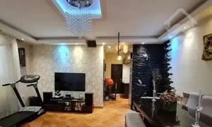 65متر/دید مستقیم میدان73/سالن پرده خور