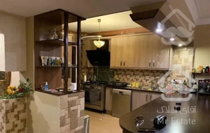 ۱۱۸ متر میرداماد نفت شمالی