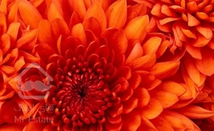 سمنگان شمالی 107متر اداری موقعیت