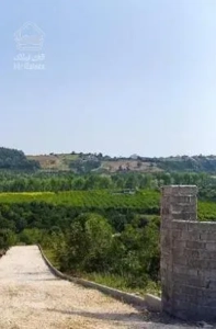 زمین 600 متری در ساری ، تنگ لته ، پرچیکلا