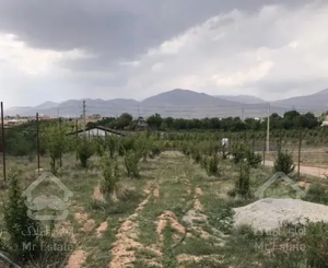 ۴۵۰ متر باغ در هومند وادان