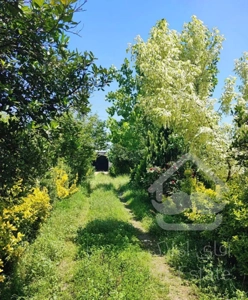 اجاره سالانه خانه باغ مبله و سنتی