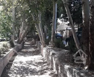 آپارتمان ۱۵۰ متری دو خواب کف موکت، آشپزخانه سرامیک