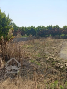 ۲۰۰ متر زمین شهرکی تهرانی نشین