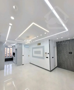 سرمایه گذاری ملکی/نقدینگی پایین/سود دهی تضمینی