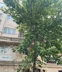 فروش آپارتمان ویلایی در خوارزم