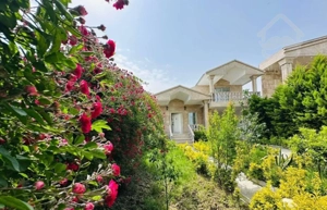 ویلا باغ 300متری در منطقه برند محمودآباد