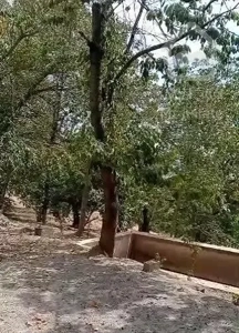 لواسان  کوچک  ۲۵۰ متر باغ