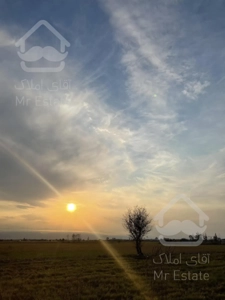 ۳۰۰ میلیون زمین کاسبی