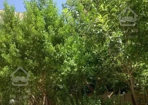 ۶۵ متر فول امکانات رهن کامل حتی مجرد