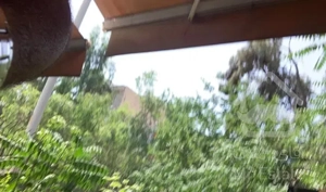 اجاره خانه ویلایی در امیرکبیر بابل