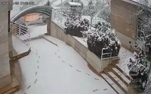 باغ ویلای ۲۵۰۰متر صدرا با استخر