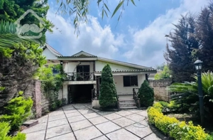 ویلاباغ/سند تکبرگ/منطقه خوش آب و هوا جنگلی