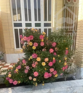 اپارتمان یک خوابه بلوار گلستان
