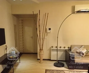 آپارتمان ۵۷ متر یک خواب نیاوران فروش