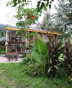 اجاره ویلا جنگلی