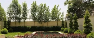 ۴۰۰متر زمین زعفرانیه سعد اباد