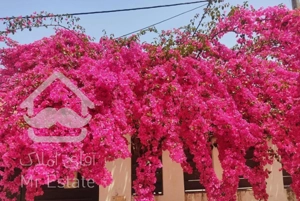 رهن و اجاره ویلا پلاک اول دریا