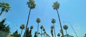 ویلا 600 متر در دریاکنار چسبیده به 2000 متر مشاعات