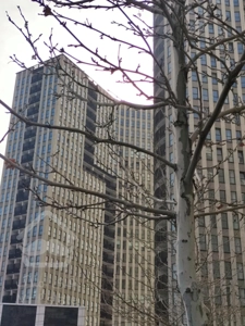 برج مدرن پردیس/کلید نخورده (دفتر فروش)