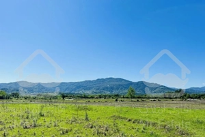 400متر زمین دور دیوار دوبرباپروانه 200 متر