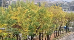 ۹۰ متر ۲ خواب بلوار آزادی