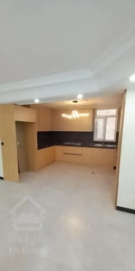 اختیاریه جنوبی بدون مشرف