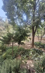 105متر2خواب لوکیشن دنج و آرام
