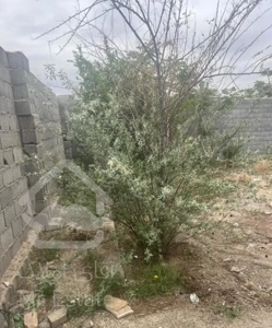 باغ دیوار کشی هرمدان