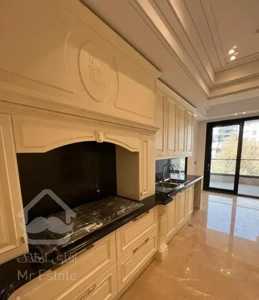 محمودیه جیم ۲۵۰ متر نوساز -  شاهکار معماری