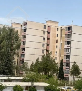 فرانسوی ساز ۱ خواب گلدشت معالی اباد