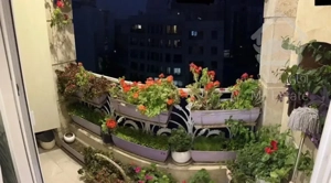 ۱۷۵ متر زعفرانیه